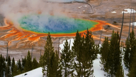 Yellowstone GIF by National Geographic Channel