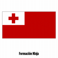 Flag Bandera GIF by Formación Ninja