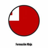 Flag Bandera GIF by Formación Ninja