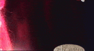 Pink Diva GIF