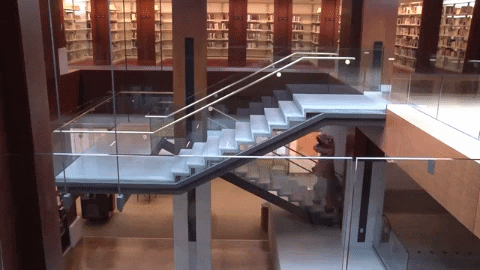 Books Reading GIF by Kansas City Public Library