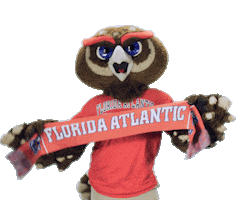 Boca Raton Sticker by Florida Atlantic University