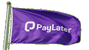 Shopping Buy Now Pay Later Sticker by PayLater