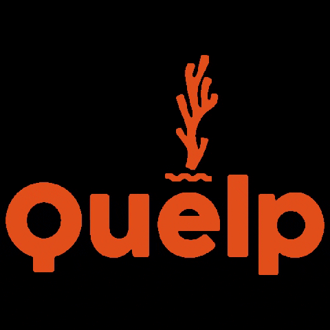 Quelp giphygifmaker vegano algas cochayuyo GIF