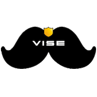 Mexico Sticker by VISE México