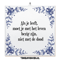 Nl Wijsheid Sticker by Tegelspreuken.nl