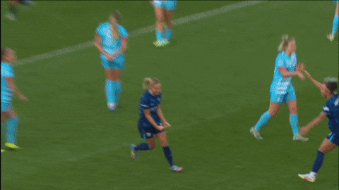 2025 GIF by National Women's Soccer League