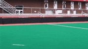 University Of Louisville Go Cards GIF by Louisville Cardinals