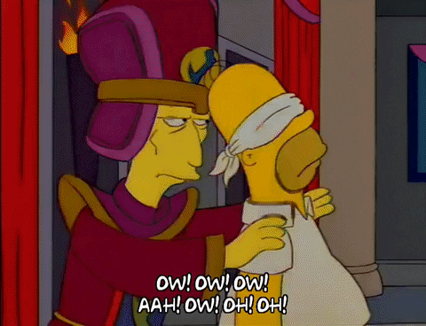 homer simpson principle skinner GIF