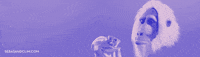 fun drinking GIF by Sebas & Clim