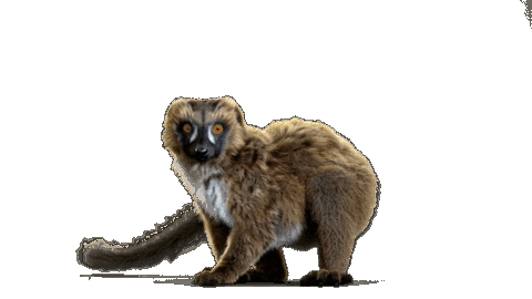 Maki Aida Sticker by AIDA_Cruises