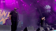 glastonbury festival 2017 GIF by Run The Jewels