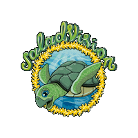 SaladVision summer fruit foodie turtle Sticker