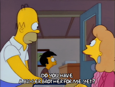 homer simpson brother GIF