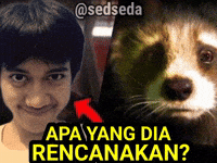 Sedseda GIF