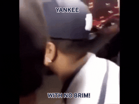 Yankees GIF by hhunt-giphy