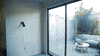 tyleroakley flower youtube house plant GIF