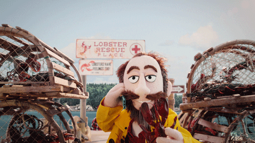 Will Forte No GIF by Crank Yankers