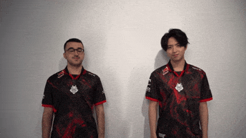 League Of Legends Lol GIF by G2 Esports
