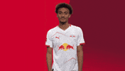 Football Soccer GIF by RB Leipzig