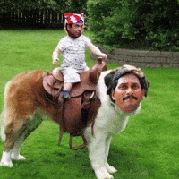 Ysrcp Janasena GIF
