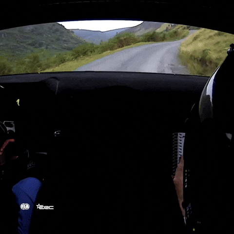 Motorsport Driving GIF by FIA European Rally Championship