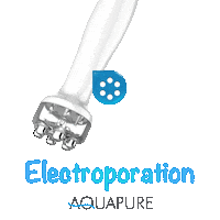 Cluederm Sticker by ClassysHQ