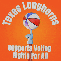 Right To Vote Voting Rights GIF by Creative Courage