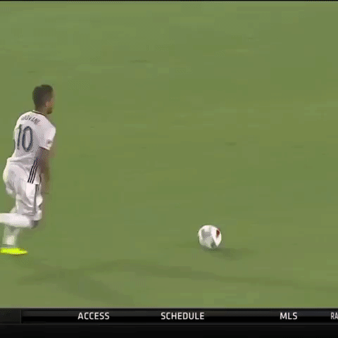 lavclb GIF by LA Galaxy