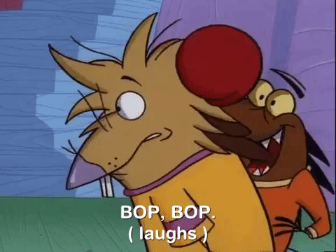 nickrewind giphydvr nicksplat angry beavers giphyab015 GIF