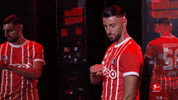 Sc Freiburg Scf GIF by Bundesliga