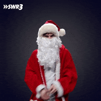 Happy Merry Christmas GIF by SWR3