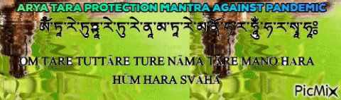 OmTare giphygifmaker arya tara protection mantra GIF