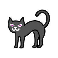 Black Cat Sticker