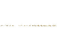 milyonerexclusive milyoner milyonerclub milyonerbodrum milyonerexclusivebodrum Sticker
