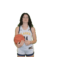 Clarke Athletics Sticker by Clarke University