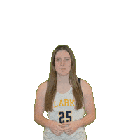 Clarke Athletics Sticker by Clarke University