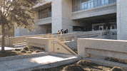 texas am sun GIF by Texas A&M University