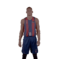 Liga Endesa Sport Sticker by ACB