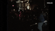 whatwoulddiplodo viceland what would diplo do? GIF