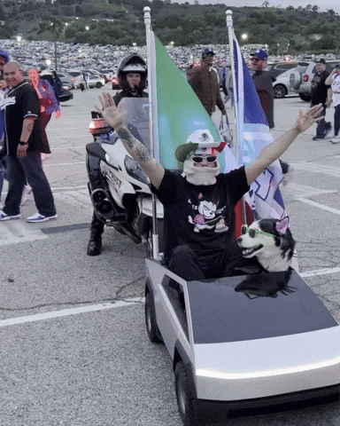 Flashing Lights Police GIF by SWAGGY WOLFDOG