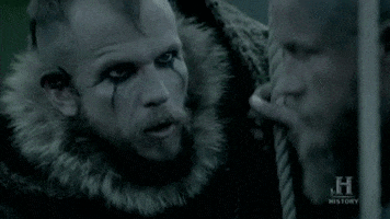 vikings GIF