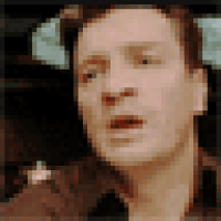 gifs for ants GIF