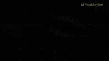 Audio Spectrum Music