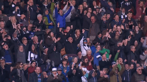 BristolBears giphyupload happy sport celebration GIF