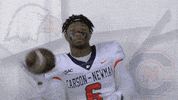 Carson Newman Football GIF by Carson-Newman Athletics