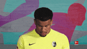 Posing Line Up GIF by Bundesliga