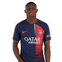 Ligue 1 Football Sticker by Paris Saint-Germain