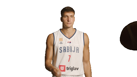 Bogdanbogdanovic Sticker by sportmts
