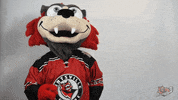 Im Out See Ya GIF by Huntsville Havoc